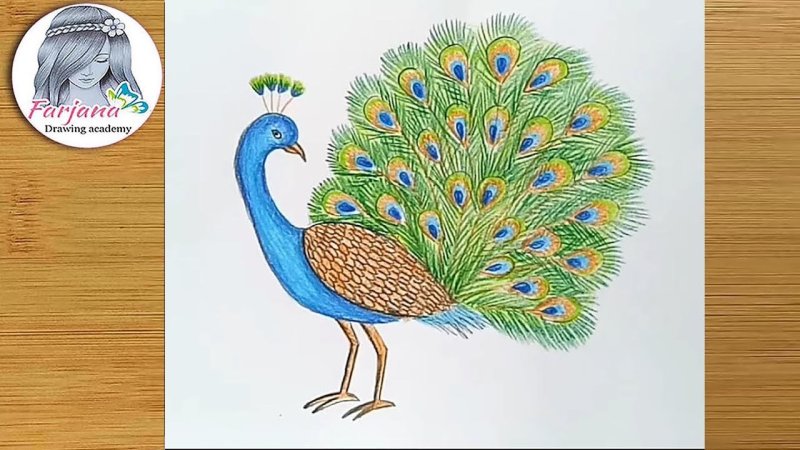 Павлины рисунки