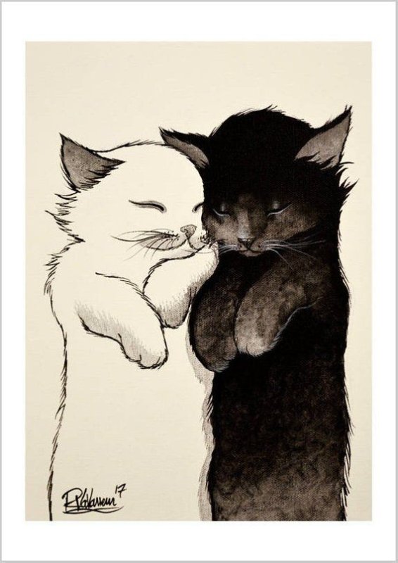 Коты любовь арт