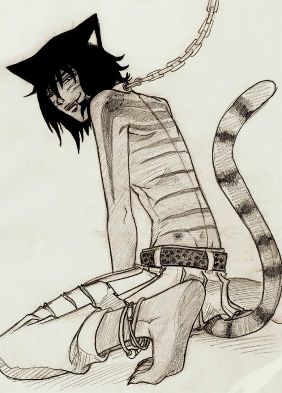 Аниме коты люди