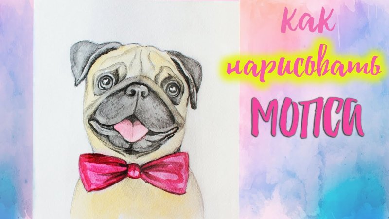 Нарисовать МОПСА
