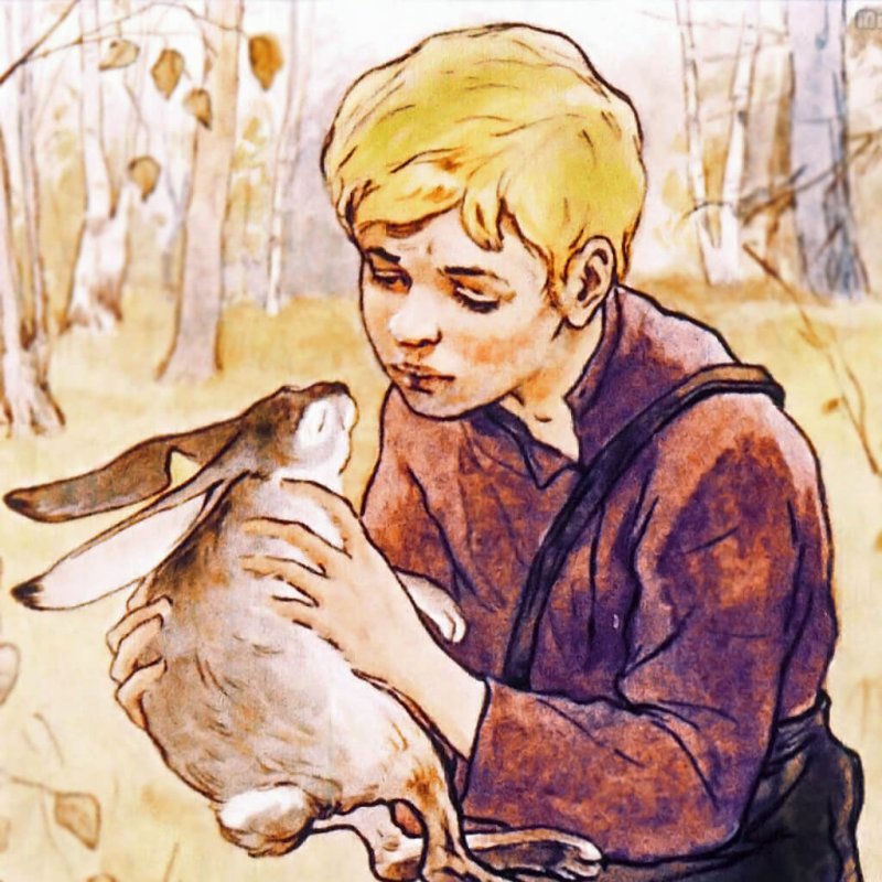 Заячьи лапы