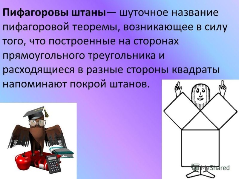 Теорема Пифагора Пифагоровы штаны