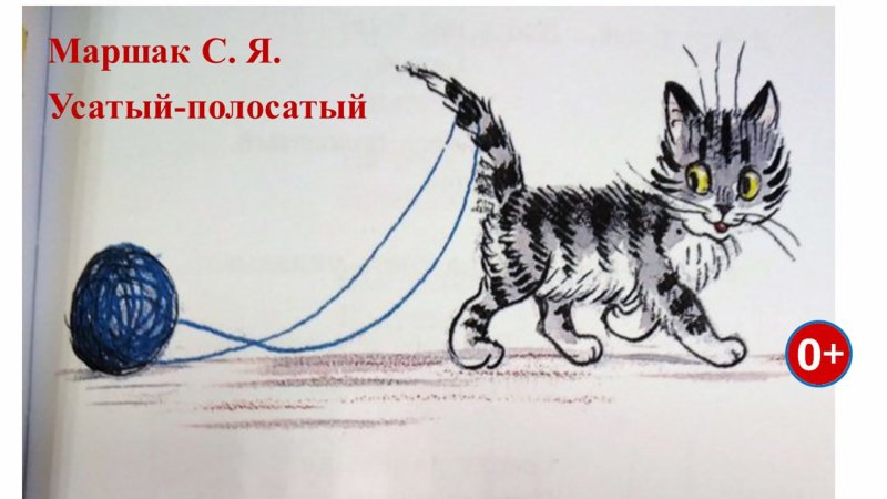 Усатый полосатый рисунок