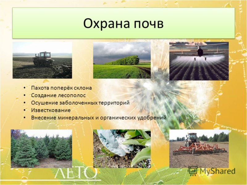 Почва охрана почвы
