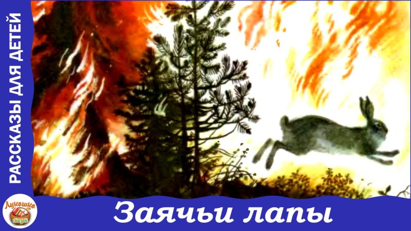 Заячьи лапы Паустовский Лесной пожар