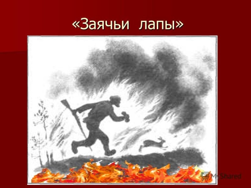 К. Паустовский "заячьи лапы"