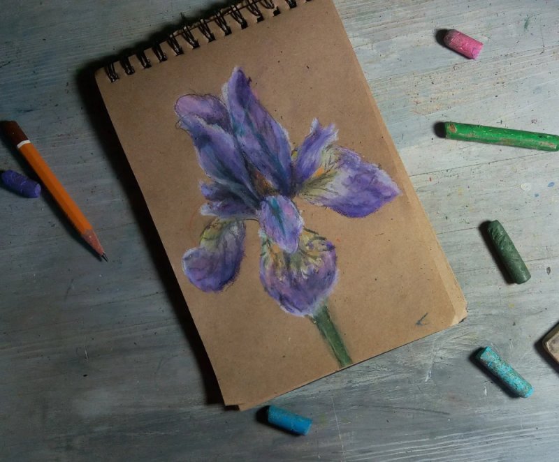 Рисунки пастелью для начинающих