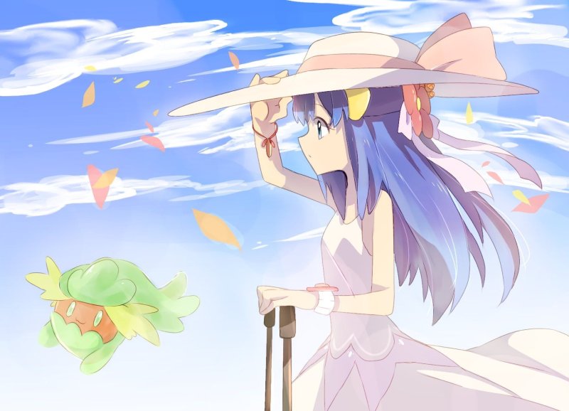 давн покемон