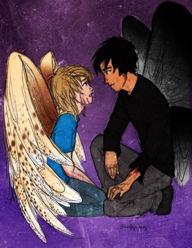 Maximum Ride: Fang