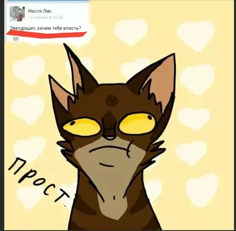 Коты Воители арты Звездоцап