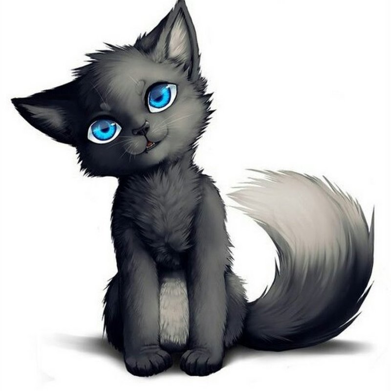 Коты Воители серенькая кошечка