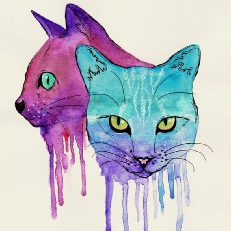 Разноцветная кошка рисунок