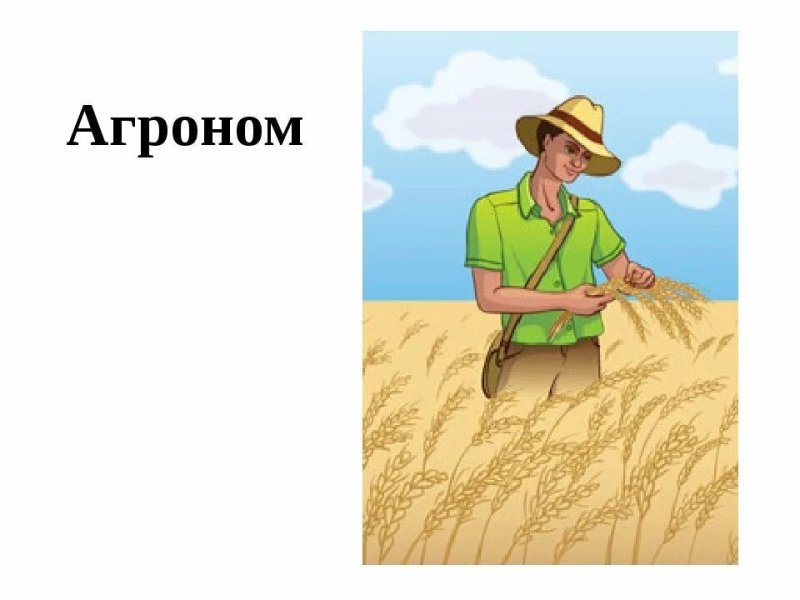 Агроном картинка для детей