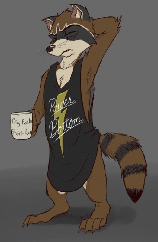 Фурри арт Raccoon