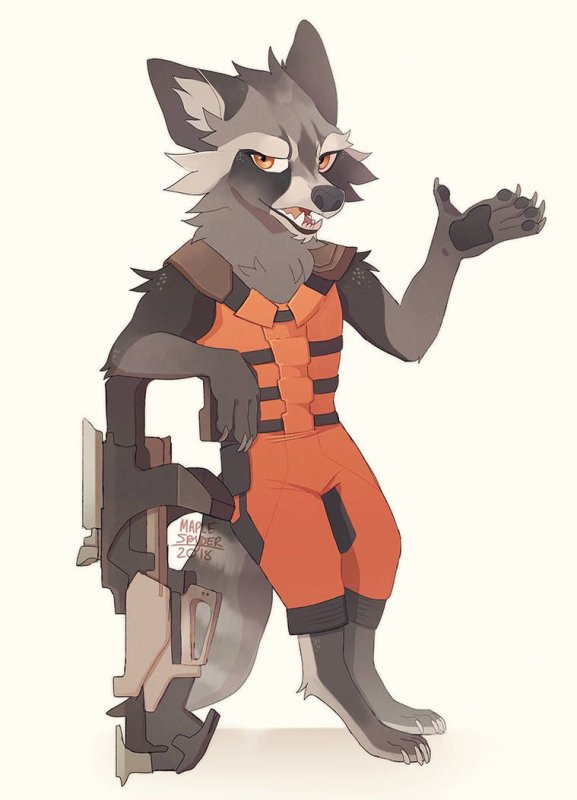 Furry енот ракета