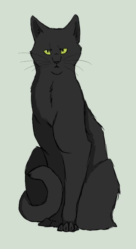 Коты Воители тёмнолапка