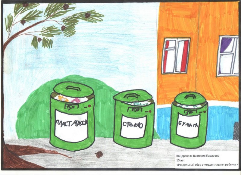 Раздельный сбор мусора рисунки детей