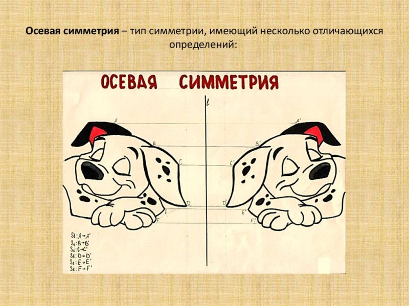Осевая и Центральная симметрия