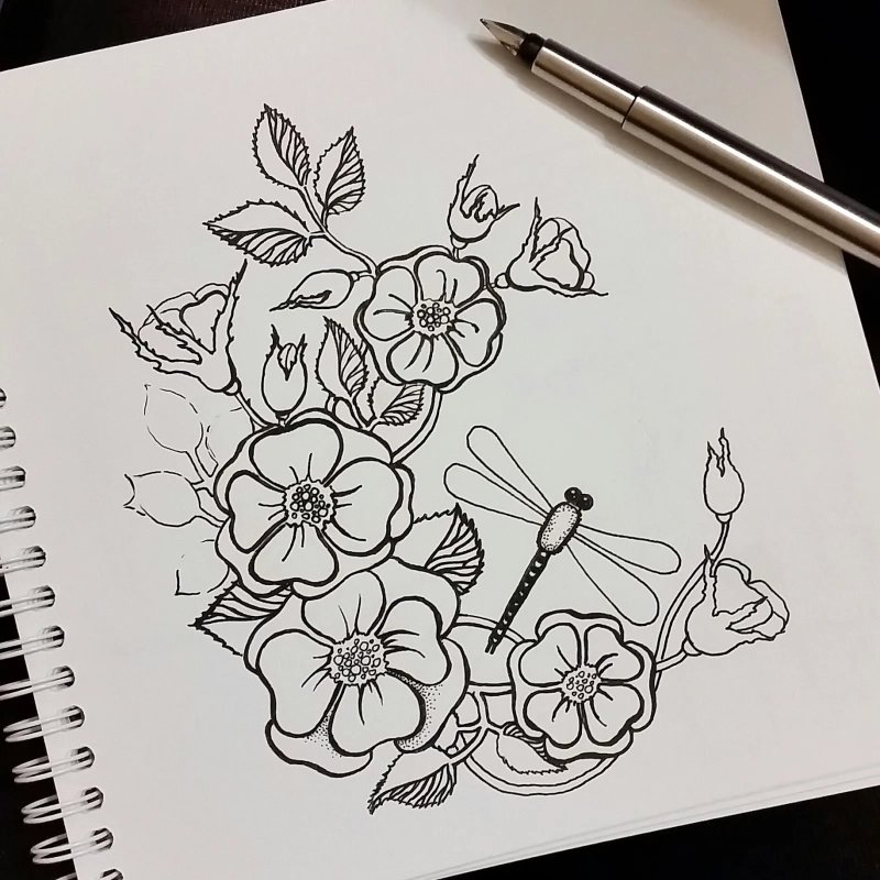 Рисунки ручкой для срисовки