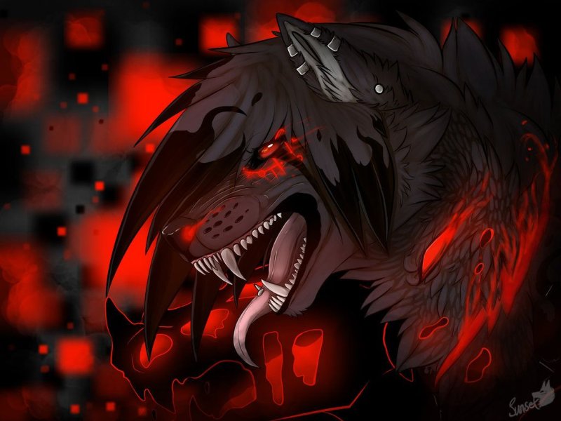 Zero Blackfire волк