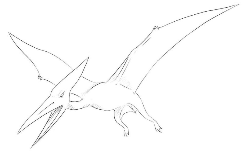 Нарисовать птеродактиля