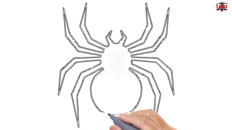 Паук рисунок легкий