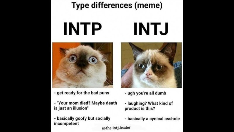 INTJ мемы