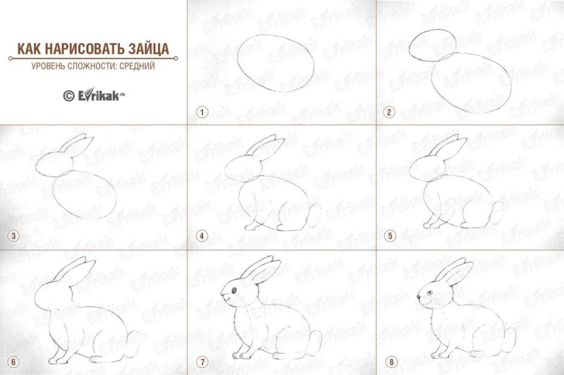 Заяц рисунок для детей поэтапно
