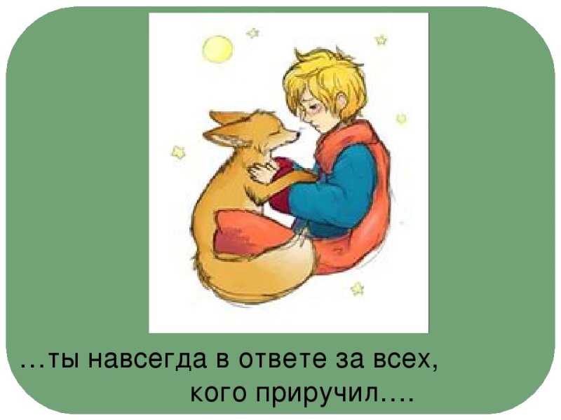 Мы в ответе за тех кого приручили маленький принц картинки