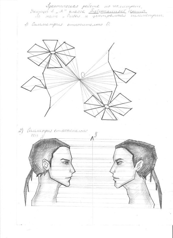 Осевая и Центральная симметрия рисунки