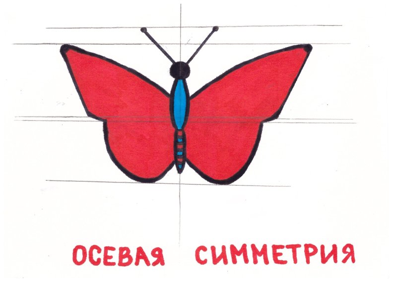 Осевая и Центральная симметрия рисунки