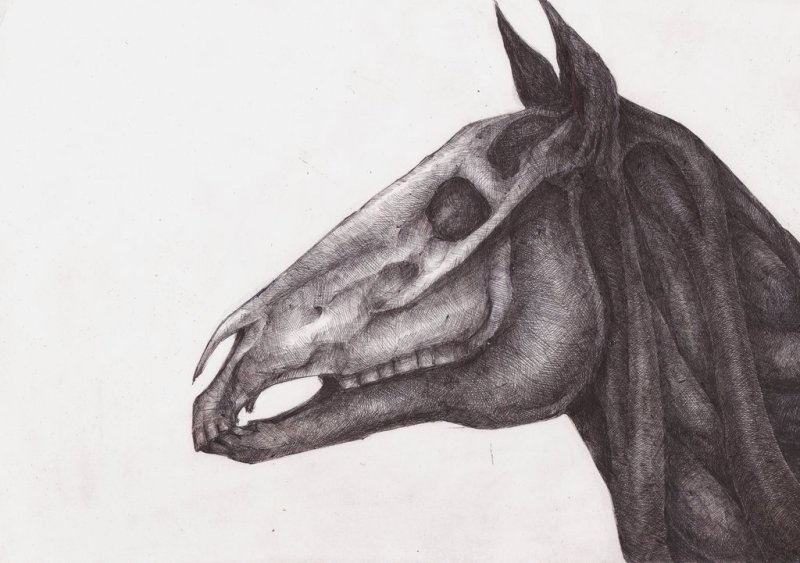 Лошадь рисунок