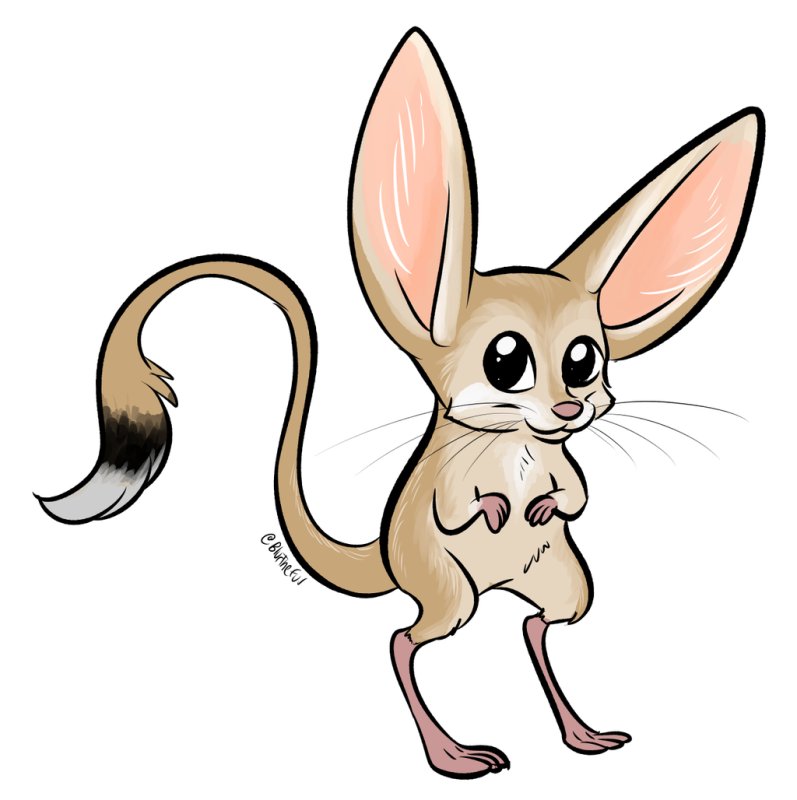 Тушканчик рисунок