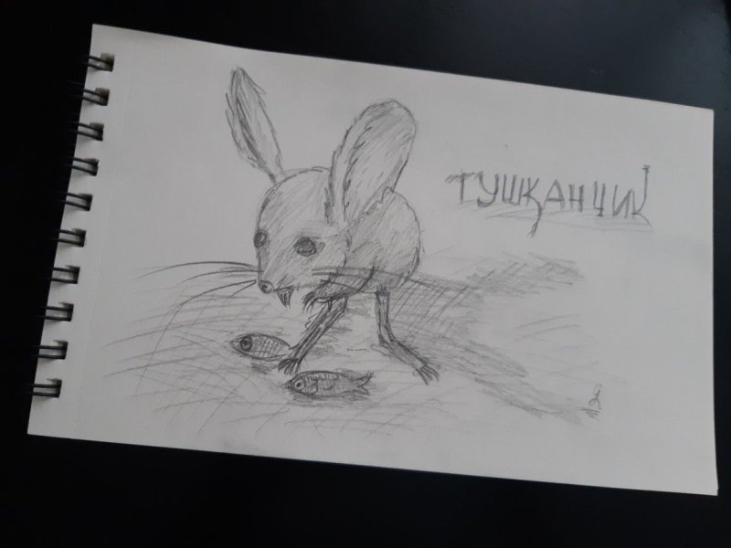 Рисунки тушканчика лёгкие