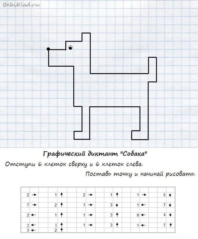Математический диктант собачка для дошкольников по клеточкам