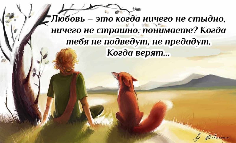 Мы ответственны за тех кого приручили маленький принц