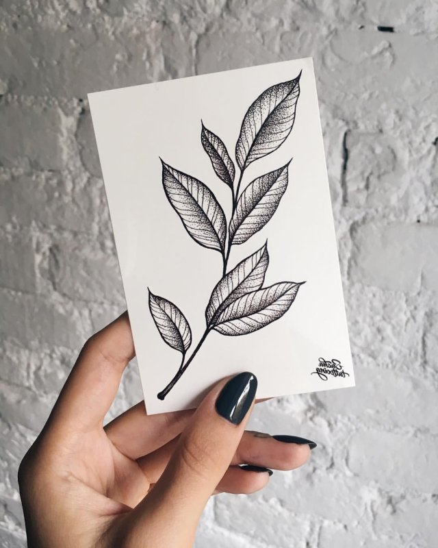 Эскиз тату веточка с листьями