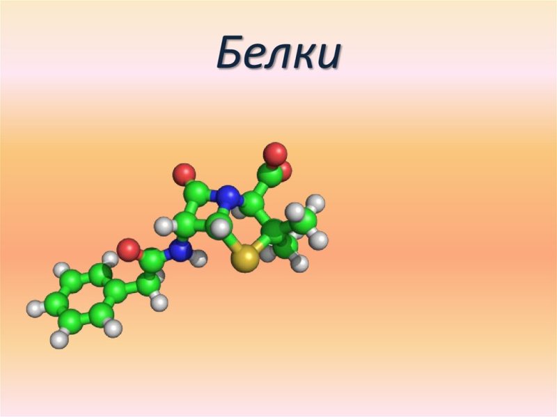 Белки химия