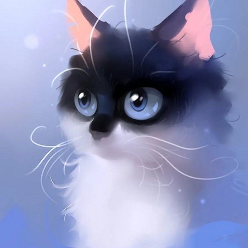 Мультяшный кот