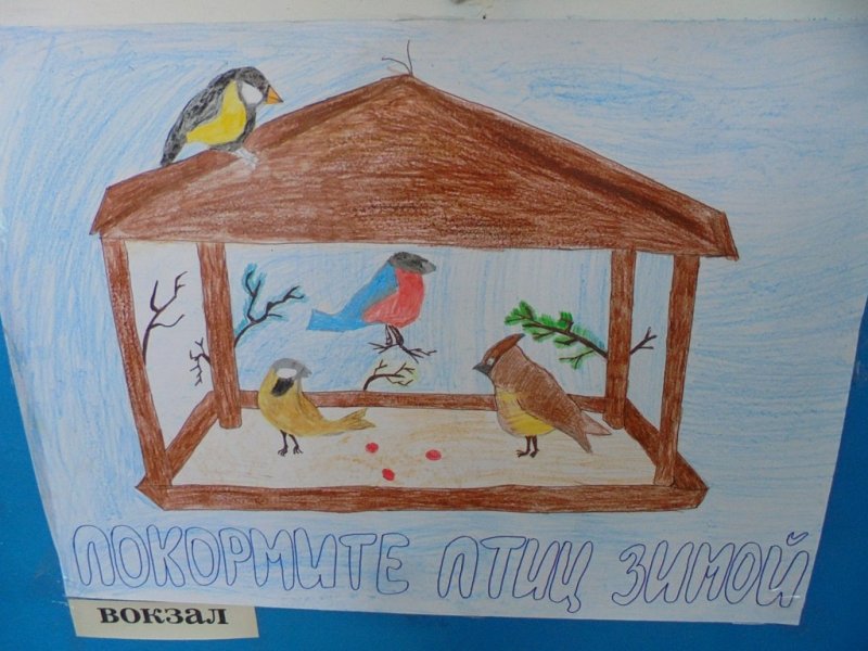 Рисование покормим птиц