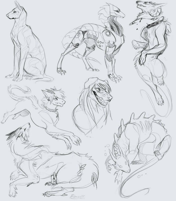 Анатомия фурри для рисования