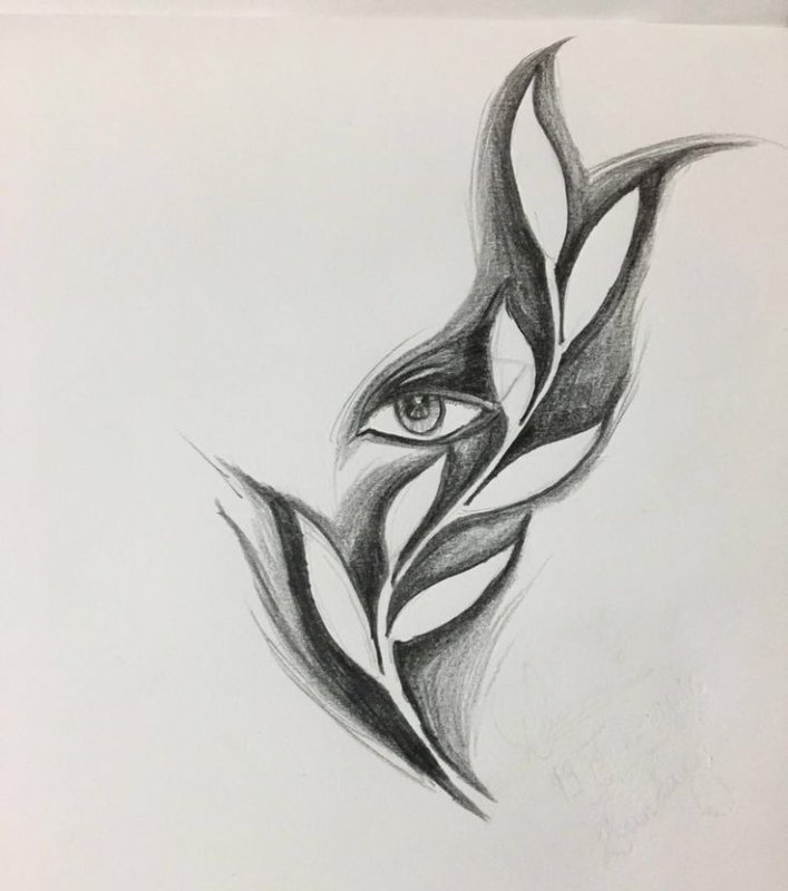 Рисунки углём лёгкие