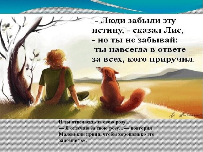 Мы в ответе за тех кого приручили маленький принц