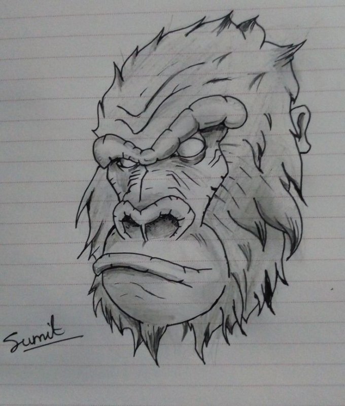 горилла эскиз тату