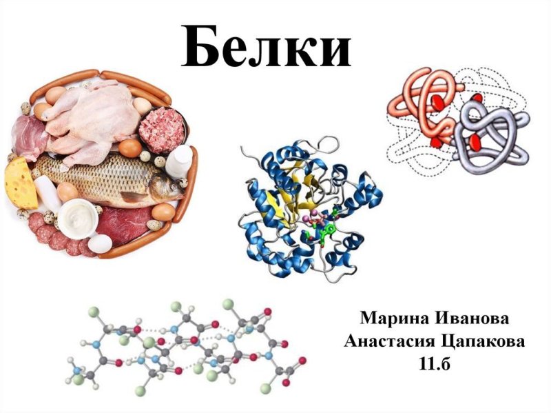 Белки структура белков