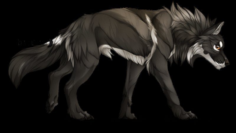 Черный волк арт в полный рост