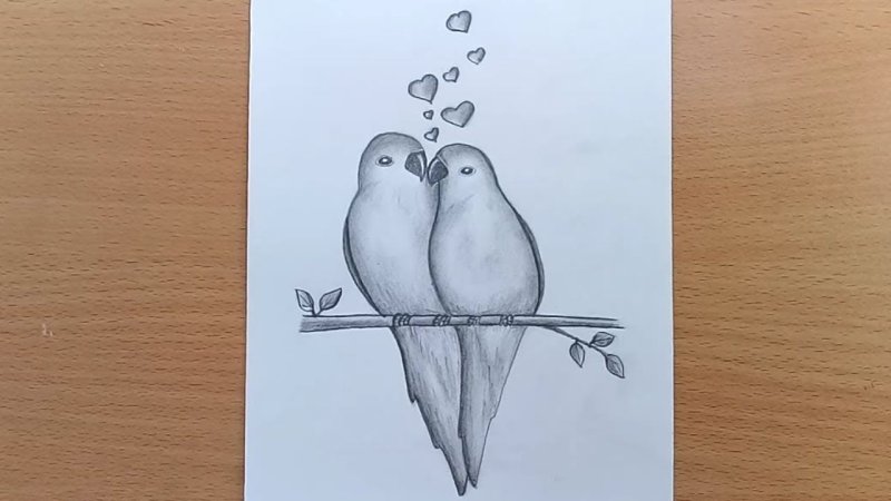 Птица рисунок легкий
