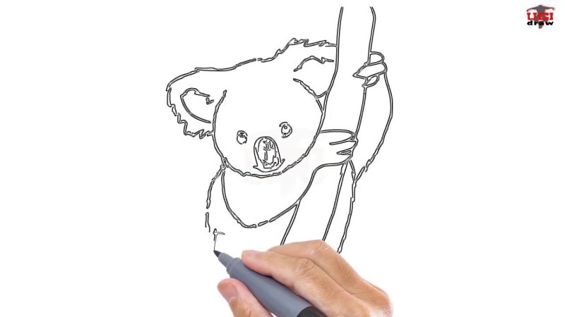Коала рисунок легкий