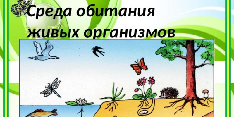 Среды обитания организмов 5 класс