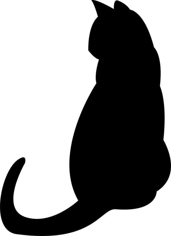 Трафарет кошки
